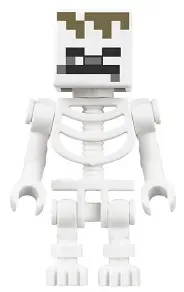 Skeleton, Minecraft Dungeons