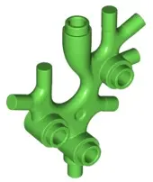 Bright Green Plant Thallus / Seaweed / Coral