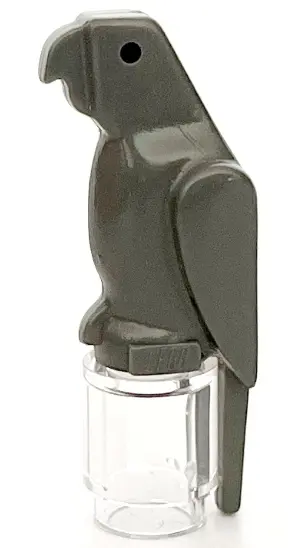 Dark Bluish Gray Bird, Parrot with Small Beak