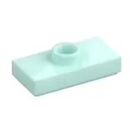 PLATE 1X2, W/ 1 KNOB