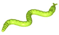 Lime Snake