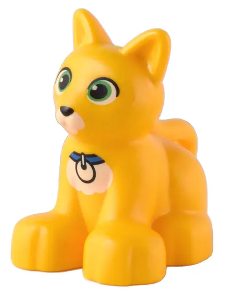 Bright Light Orange Duplo Cat Kitten Sitting with Bright Green Eyes and Blue Collar with Round White