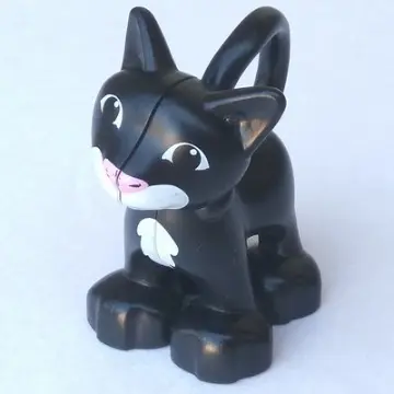 Black Duplo Cat Standing with White Chest and Mouth Pattern