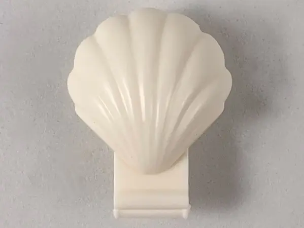 White Clam Shell, Folding - Continuous Scalloped Inner Lip