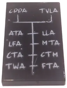 Black Tile 2 x 3 with White 'CDDA', 'TVLA', 'ATA', 'LLA', 'LFA', 'MTA', 'CTA', 'CTM', 'TWA', and 'FT