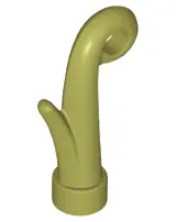 Olive Green Plant Grass Stem
