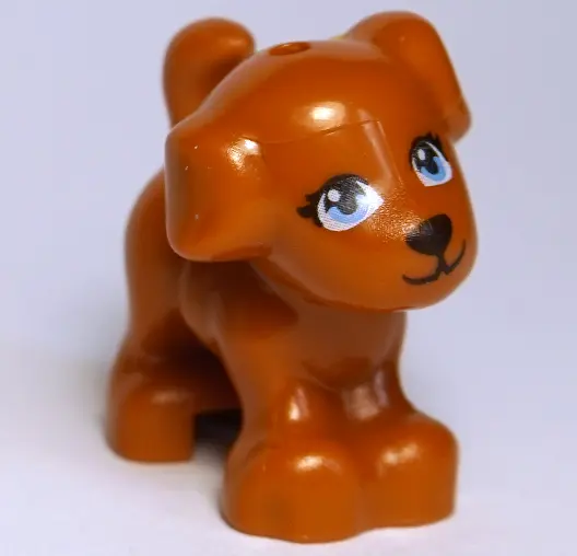 Dark Orange Dog, Friends Style, Puppy, Standing with Bright Light Blue Eyes with Eyelashes, Black No