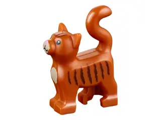 Dark Orange Cat, Standing with Black Eyes, Bright Pink Nose, Tan Muzzle and Chest, Reddish Brown Str