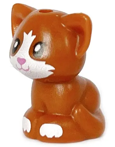 Dark Orange Cat, Friends Style, Baby Kitten, Sitting with Black Eyes, Dark Pink Nose and Mouth, and 