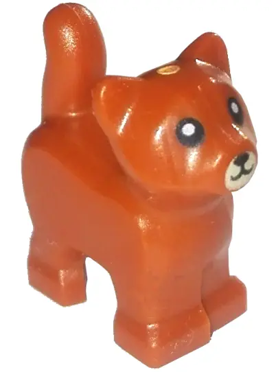 Dark Orange Cat, Baby Kitten, Standing with Black Nose and Eyes with White Pupils, Tan Muzzle Patter