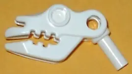 White Cattle Skull