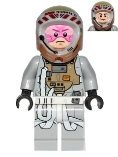 Gray Squadron Pilot (Horton Salm)