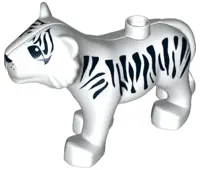 White Duplo Tiger Adult with White Muzzle, Black Stripes, Nose and Eyes Almond Shaped Pattern