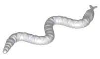 Light Bluish Gray Snake