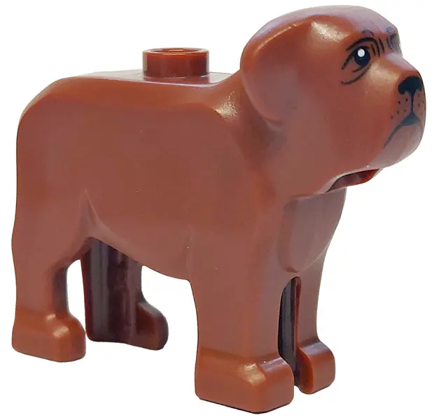 Reddish Brown Dog, Neapolitan Mastiff with Black Nose, Mouth, Creases and Eyes with White Pupils Pat