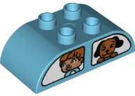 Medium Azure Duplo, Brick 2 x 4 Slope Curved Double with White Vehicle Windows with Boy and Dog / Gi
