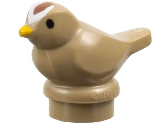 Dark Tan Bird, Small with Black Eyes, Bright Light Orange Beak and Reddish Brown and White Forehead 