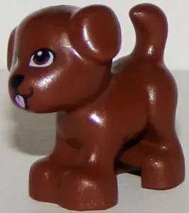 Reddish Brown Dog, Friends Style, Puppy, Standing with Reddish Brown Eyes, Black Nose and Bright Pin