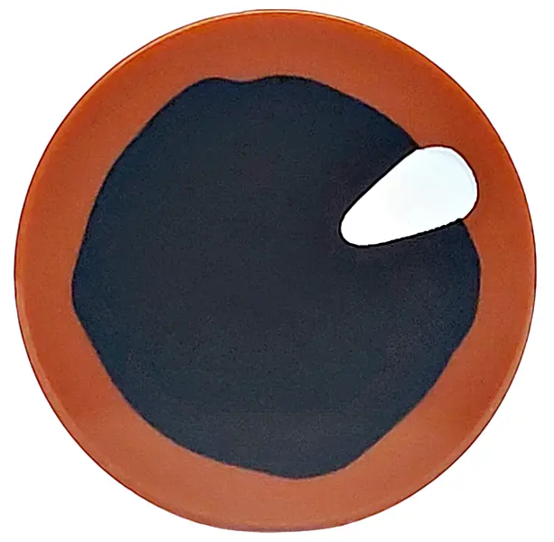 Reddish Brown Tile, Round 2 x 2 with Bottom Stud Holder with Eye with Black Pupil and White Teardrop
