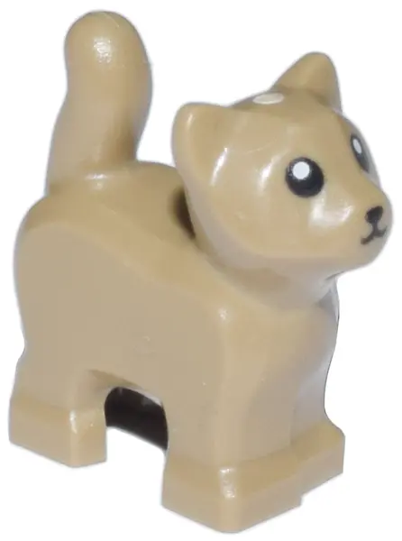 Dark Tan Cat, Baby Kitten, Standing with Black Nose and Eyes with White Pupils Pattern