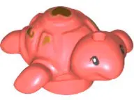 Coral Turtle, Friends Style, Baby with Black Eyes and Gold Spots Pattern