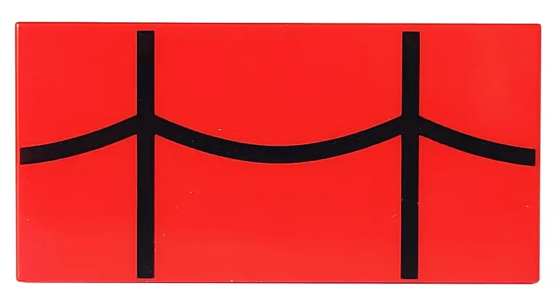 Red Tile 2 x 4 with Black Spider Web Pattern