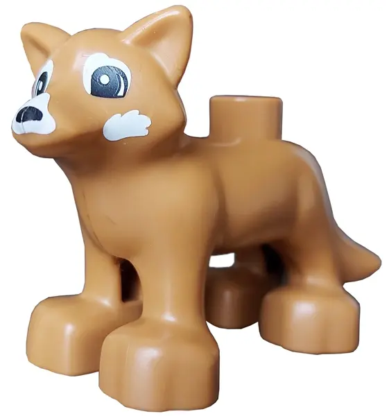 Medium Nougat Duplo Fox with White Muzzle and White Eye Spots Pattern (Dog Husky)