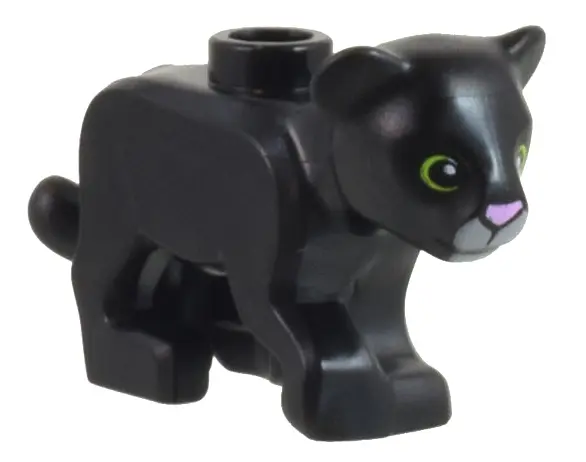 Black Cat, Large, Baby Cub with Bright Pink Nose, Light Bluish Gray Muzzle and Lime Rings around Eye