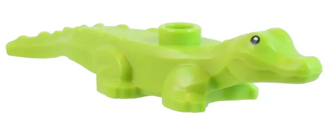 Lime Alligator / Crocodile Baby Hatchling with Black Eyes Pattern