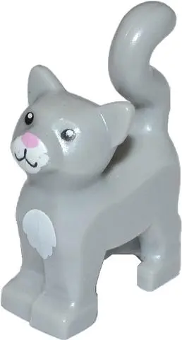 Light Bluish Gray Cat, Standing with Black Eyes, Bright Pink Nose, White Muzzle and Chest Pattern