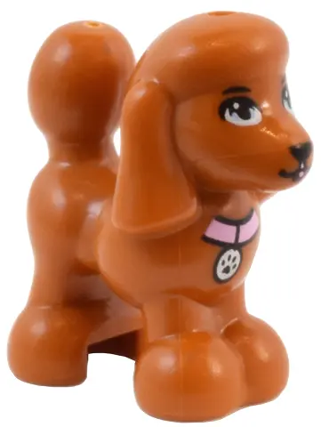 Dark Orange Dog, Friends Style, Poodle with Bright Light Blue Eyes, Black Nose and Mouth, and Bright
