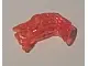 Trans-Neon Orange Bionicle Head Connector Block Eye/Brain Stalk - Small