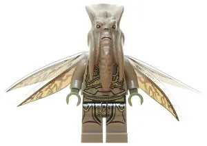 Poggle the Lesser