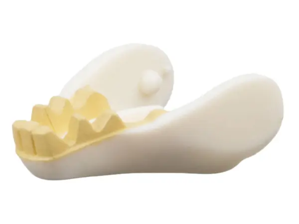 White Warg Jaw Lower with Tan Teeth Pattern