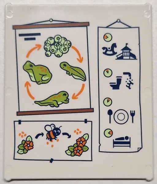 White Glass for Window 1 x 6 x 6 Flat Front with Lime and Yellowish Green Frogspawn, Tadpoles and Fr