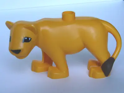 Bright Light Orange Duplo Cat, Large, Adult Female (Lioness) with Black Nose and Eyes Almond Shaped,