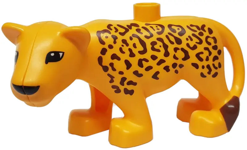 Bright Light Orange Duplo Cat, Large, Adult Female (Leopard) with Black Nose and Eyes Almond Shaped,