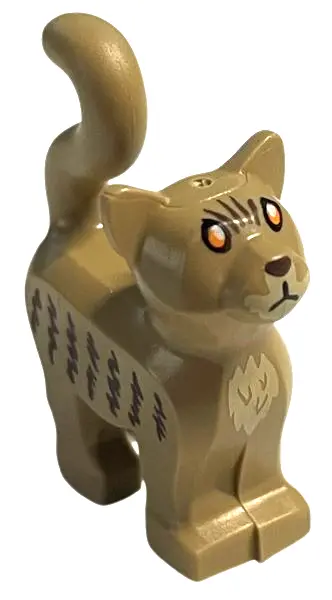 Dark Tan Cat, Standing with Orange Eyes, Dark Brown Nose and Stripes, Tan Muzzle and Chest Pattern (