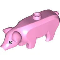 Bright Pink Pig with Black and White Eyes and Eyelashes Pattern (Hamletta)