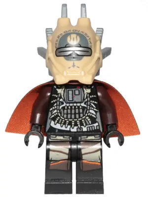 Enfys Nest