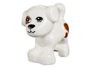 White Dog, Friends Style, Puppy, Standing with Bright Light Blue Eyes, Black Nose and Mouth, Reddish