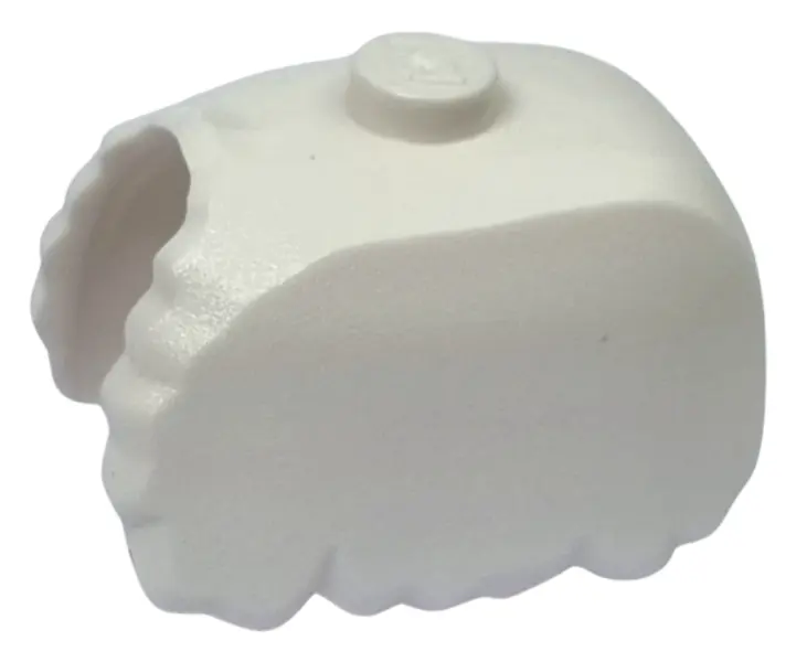 White Sheep Fleece / Wool