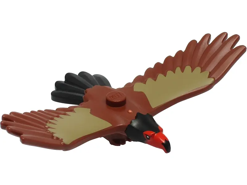Reddish Brown Eagle with Red and Black Head, Black Tail Feathers and Dark Tan Wings Pattern