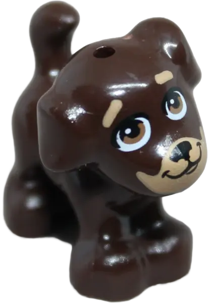 Brown Dog, Friends Style, Puppy, Standing with Medium Nougat Eyes, Black Nose and Mouth, Nougat Muzz