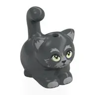 CAT, NO. 55