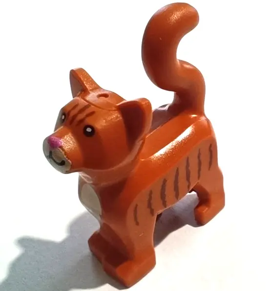 Dark Orange Cat, Standing with Black Eyes, Dark Pink Nose, Tan Muzzle and Chest, Reddish Brown Strip