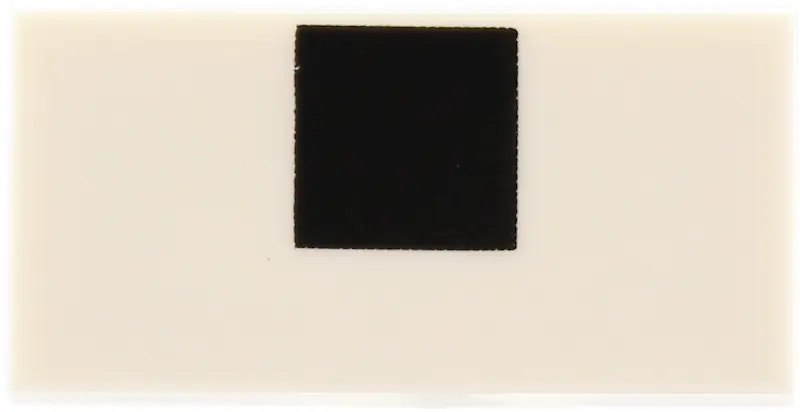 Tile 1 x 2 with Black Square Offset Pattern (Minecraft Baby Wolf Nose)