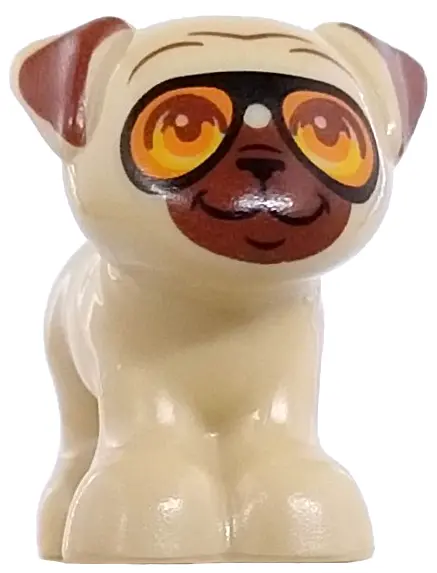 Dog, Mini Doll Style, Pug, Standing with Reddish Brown Muzzle, Ears and Wrinkles, Bright Pink Tongue