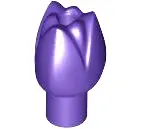 Purple Plant Flower Tulip with Bar and Small Pin Hole