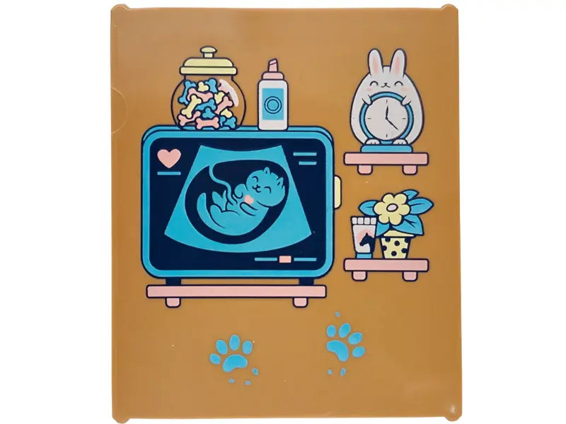 Nougat Glass for Window 1 x 6 x 6 Flat Front with Shelves, Jar of Dog Treats, Cat X-Ray with Heart, 